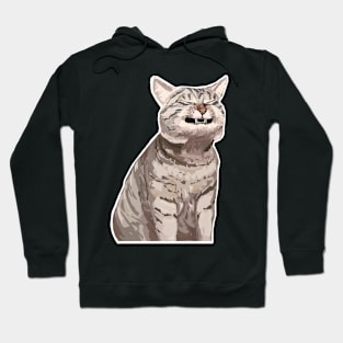 Ugh cat Hoodie